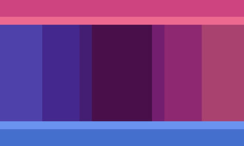 District Flag